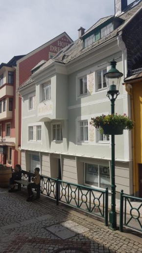 Ferienwohnung in Mariazell
